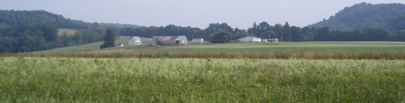 Wirt County